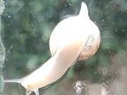 金山毒霸电脑版安装包