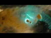 788.vlp开元V3.5专业版